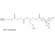 CPG-Malachite Green | FIVEphoton Biochemicals | Oligonucleotide Synthesis Reagent | HPT1101